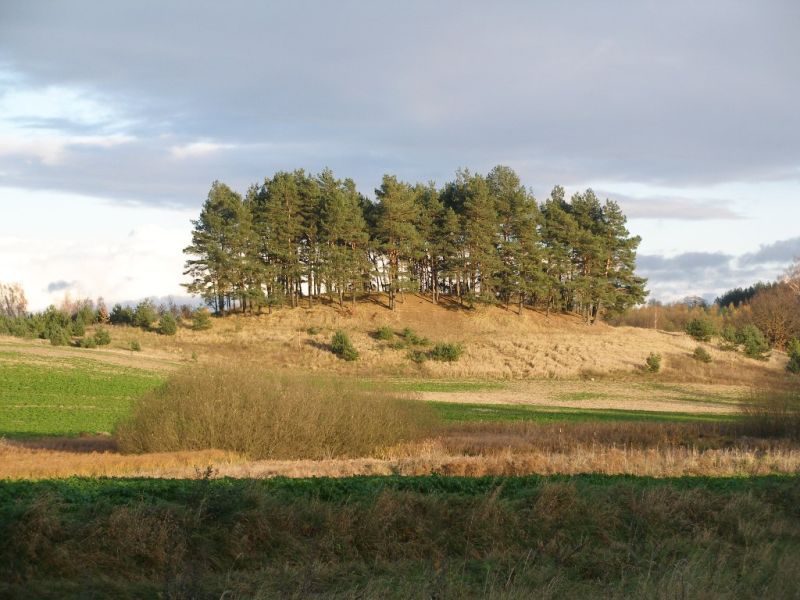 Sołectwo Bobrowo Sołectwo Bobrowo