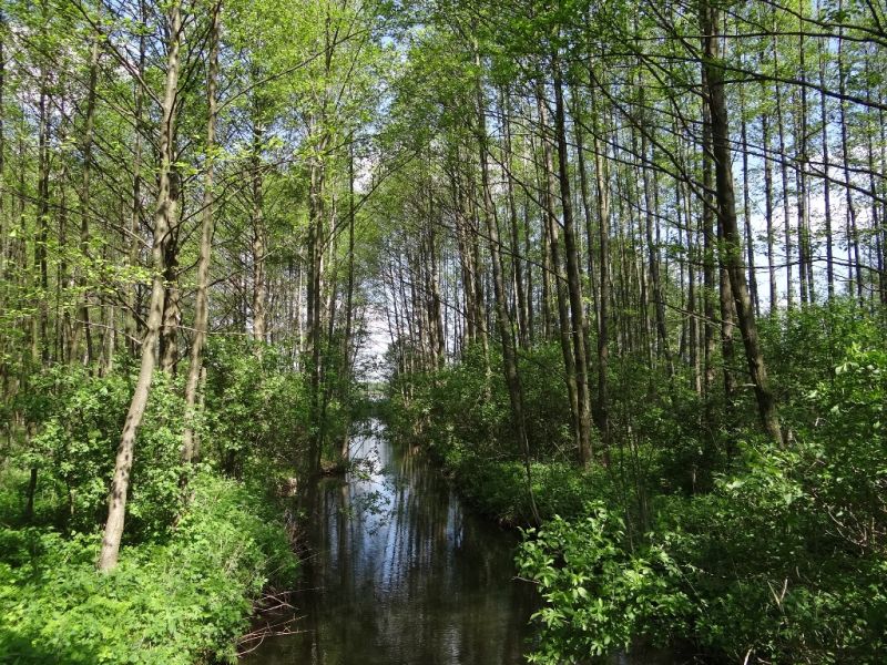 Sołectwo Bobrowo Sołectwo Bobrowo